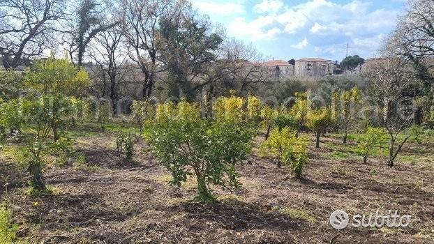 Terreno agricolo 14.000 mq a giarre - Altro