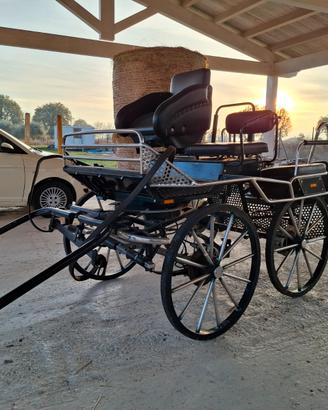 Carrozza Maratona