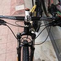 Mountainbike 29M - telaio whistle