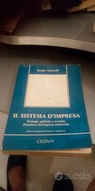Il sisema d impresa