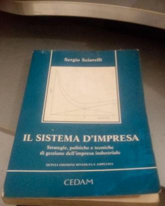 Il sisema d impresa
