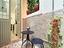 Immagine 13