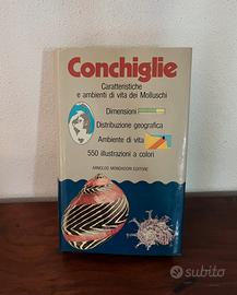 “Conchiglie” di B.Sabelli Ed. Mondadori