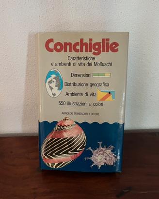 “Conchiglie” di B.Sabelli Ed. Mondadori