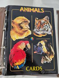 Animals Card 1993 TH & LP collection