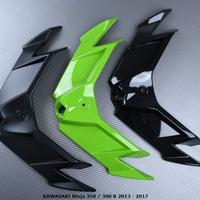 Pinna Spoiler KAWASAKI Ninja 250 / 300 R 2013 2017