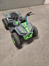 Quad elettrico 