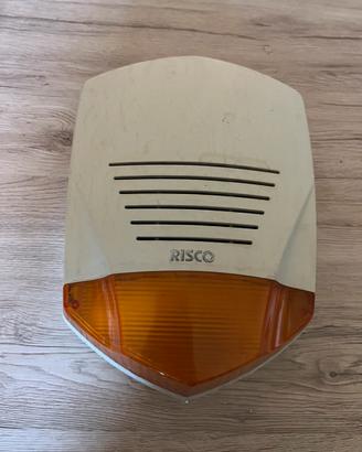 Risco RWS20