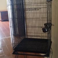 Gabbia per pappagalli
