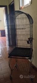 Gabbia per pappagalli