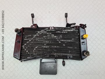 RADIATORE ACQUA SUZUKI VSTORM 650 2008 2009 DL 201