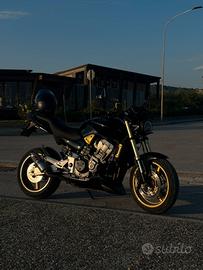 honda hornet