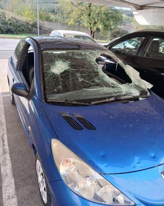 Pegeot 206+