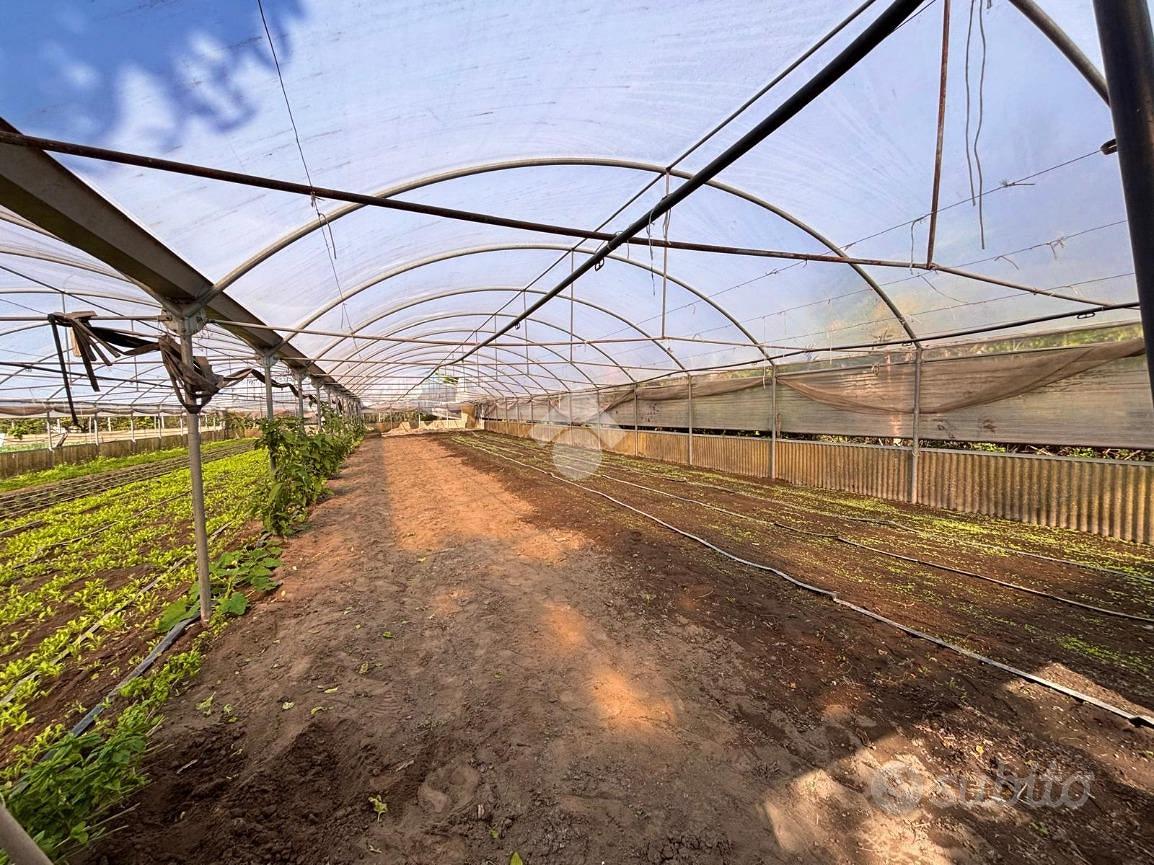 TERRENO A SANT'ANASTASIA - Vista 4