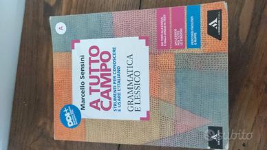 Libri di testo scuola superiore 