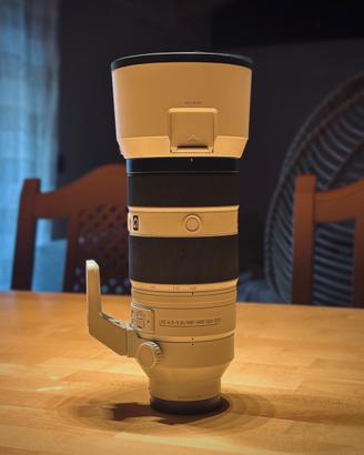Sony FE 100-400mm f/4.5-5.6 GM OSS