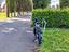 Immagine 4