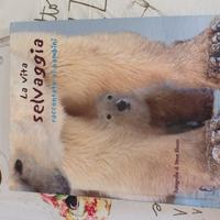 La vita selvaggia raccontata ai bambini