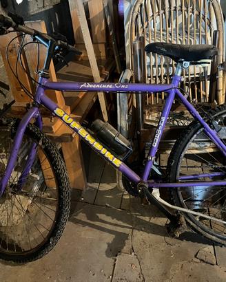 Mountain bike