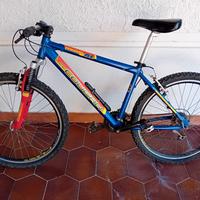 Mountainbike in buono stato