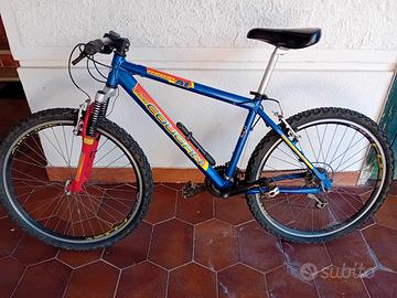 Mountainbike in buono stato
