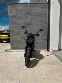 benelli leoncino 500