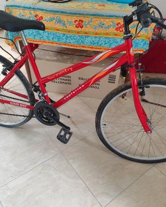 City Bike misura  26- funzionante 