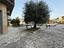 Immagine 15