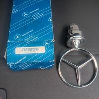 stella stemma mercedes