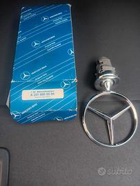 stella stemma mercedes