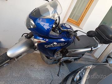 honda transalp