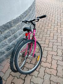 biciclette