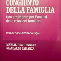 Il disegno congiunto della famiglia