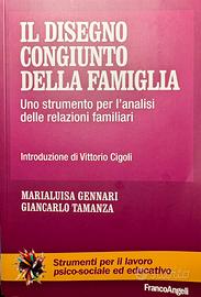 Il disegno congiunto della famiglia