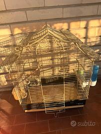 Gabbia per uccelli