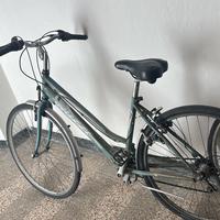 Bici da passeggio