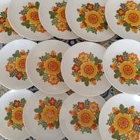 servizio vintage picnic Style 