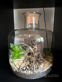 Terrarium
