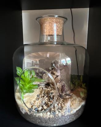 Terrarium