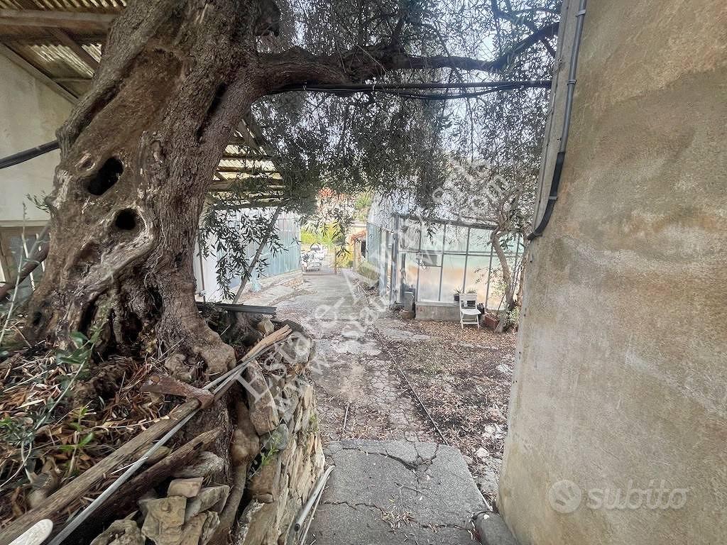 Terreno di 6000 m² a Ospedaletti - Vista 3