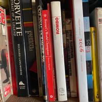 30. Zaini in plastica e sacche pubblicizzati