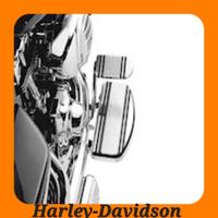 INSERTI PEDANE HARLEY DAVIDSON