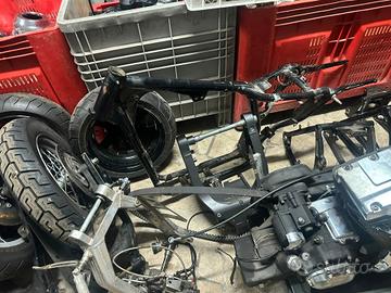 TELAIO SPORTSTER 1200 S DEL CENTENARIO
