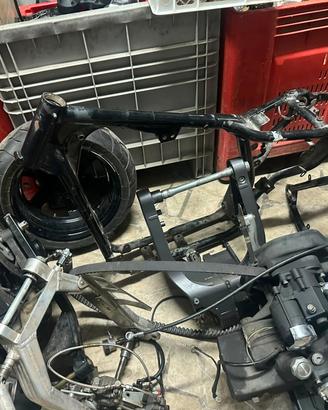 TELAIO SPORTSTER 1200 S DEL CENTENARIO
