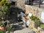 Immagine 12