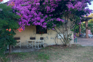 Villetta più terreno