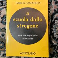 A scuola dello stregone - Carlos Castaneda 1970