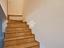 Immagine 21
