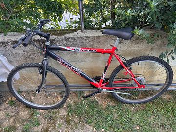 Mountain Bike Esperia