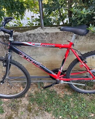 Mountain Bike Esperia